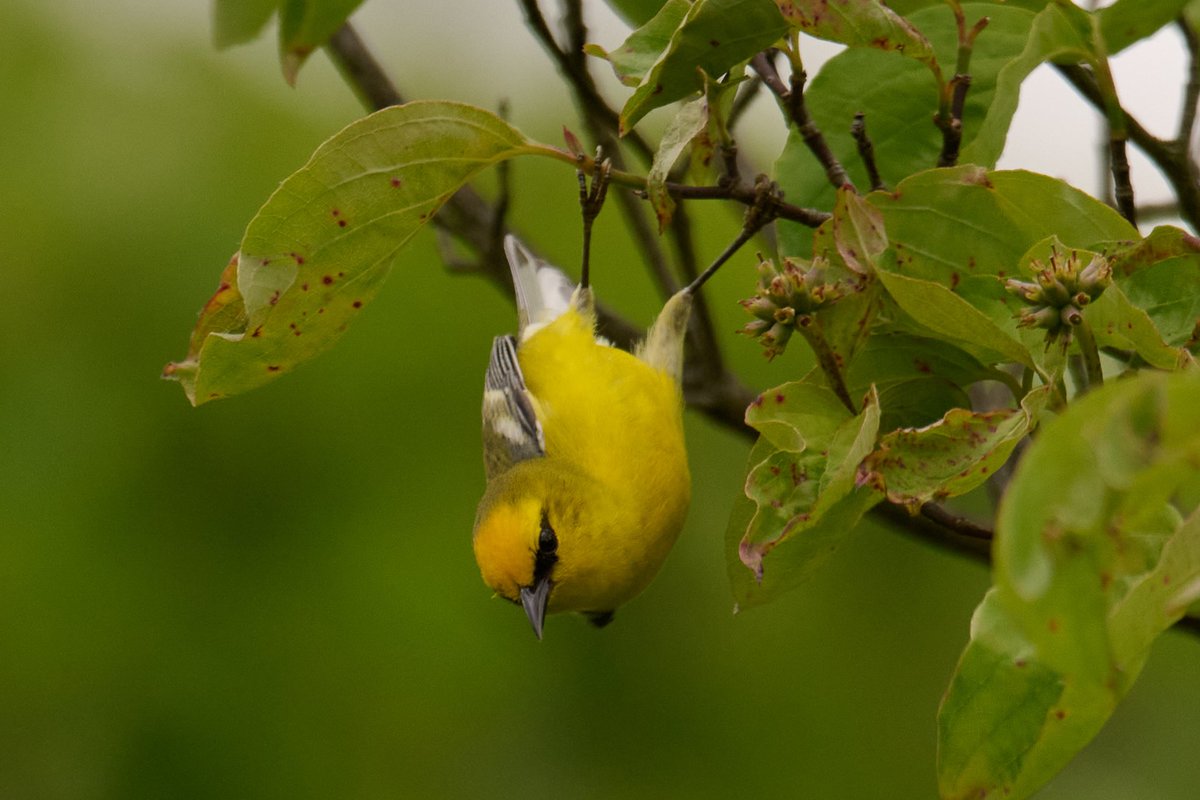 Patrick bx tweet media