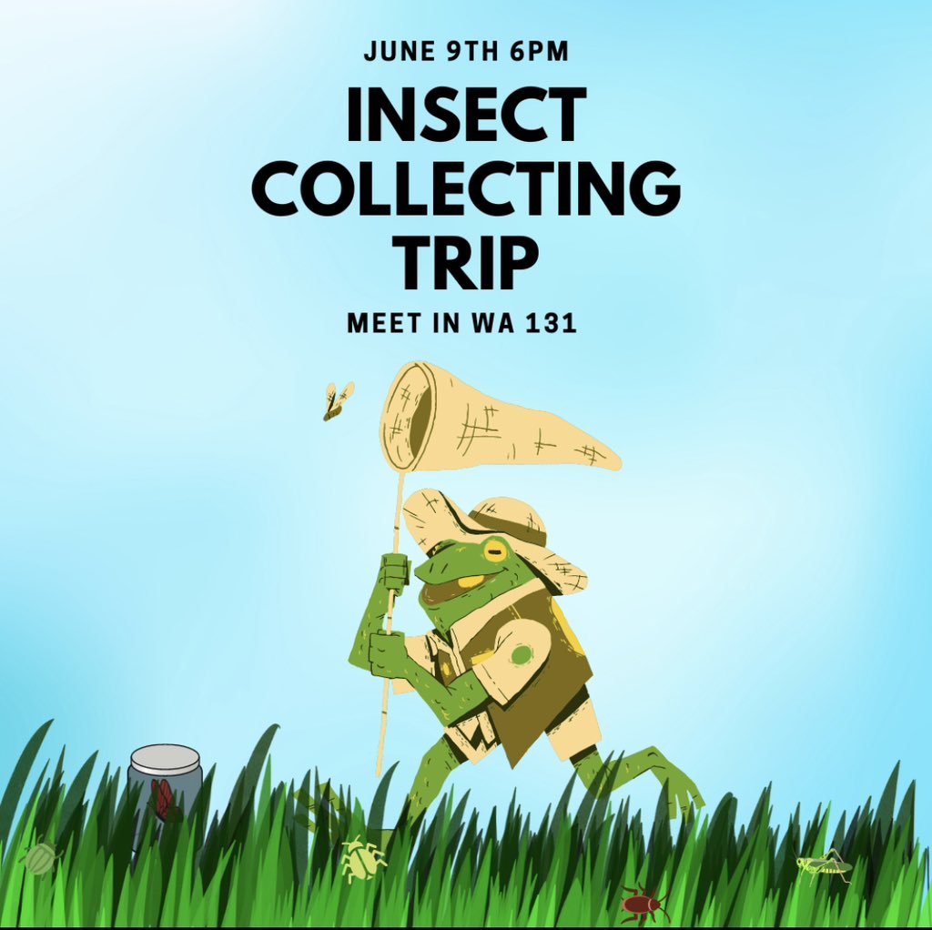 PopenoeEntoClub's tweet image. Come join us in collecting insects for the FFA kits! We will provide all the equipment, just bring a water bottle, comfortable shoes, and anything else you will want while outside. #ffa #insects #bugcatcher