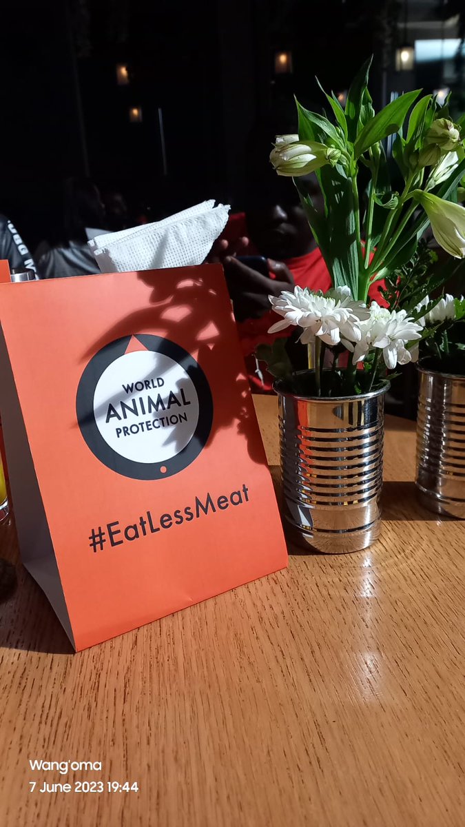 Wangoma_tweets's tweet image. For the Animals,
For the Earth,
For You,

#EatLessMeat!

World Animal Protection @MoveTheWorldAF