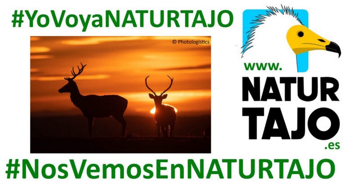 HotelGuadaCC's tweet photo. #PlanParaElFinde: Los amantes de la #naturaleza tienen una ocasión única de encontrarse y compartir experiencias en #NaturTajo, la Feria del #TurismodeObservación de la Naturaleza del Sistema Ibérico Sur, del 9 al 11 en #Corduente, en pleno @PNAltoTajo🦅
https://t.co/tlu4DLX6fV https://t.co/6zvPVIOb8R