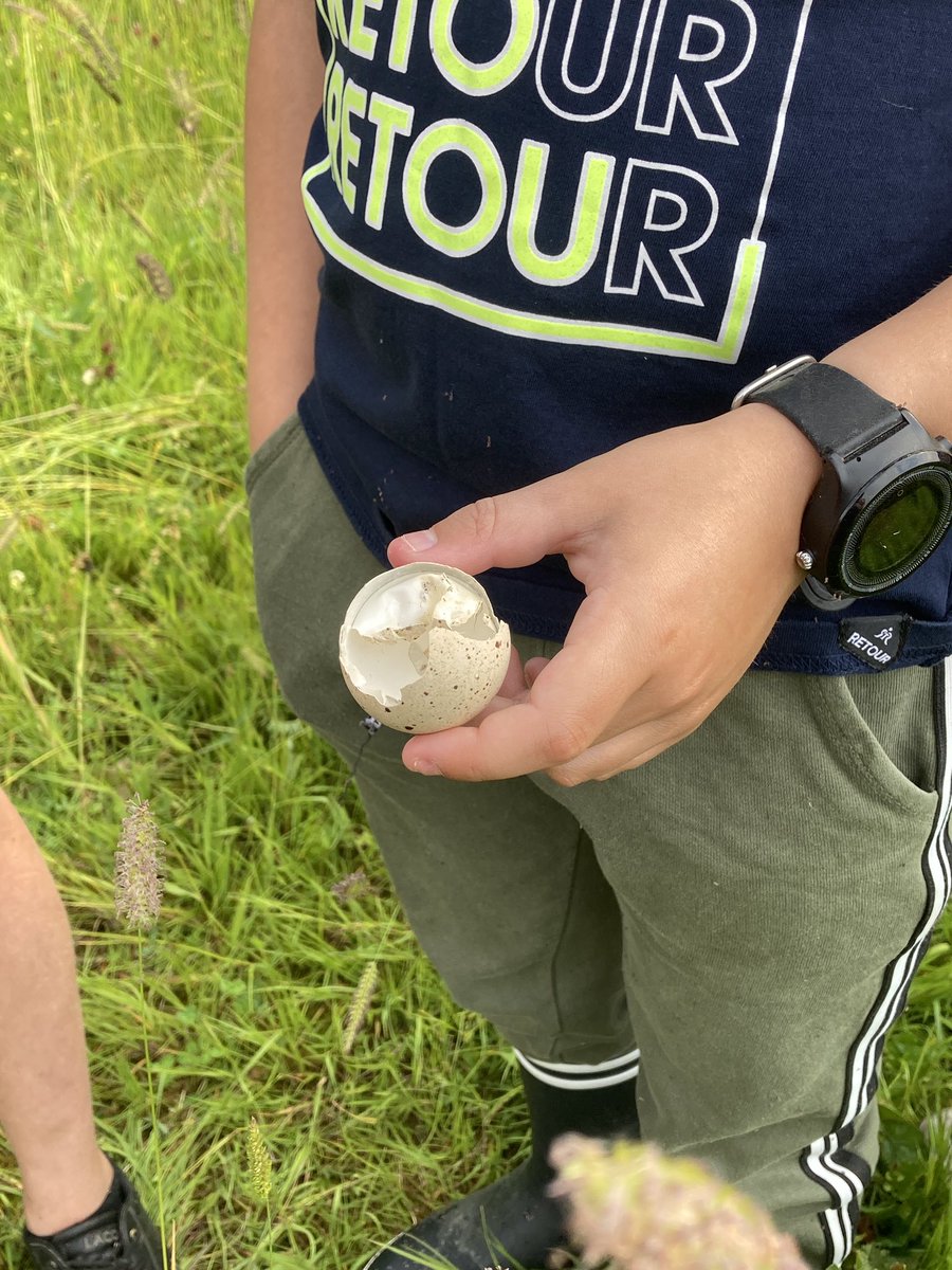 Vandaag weer prachtige dag poelscheppen gehad met basisischool de #Kameleon uit Mill. Heerlijk om die kids bezig te zien. Een kind zei ‘ik vind het spannend en heel leuk tegelijk’. Natuur als avontuur.