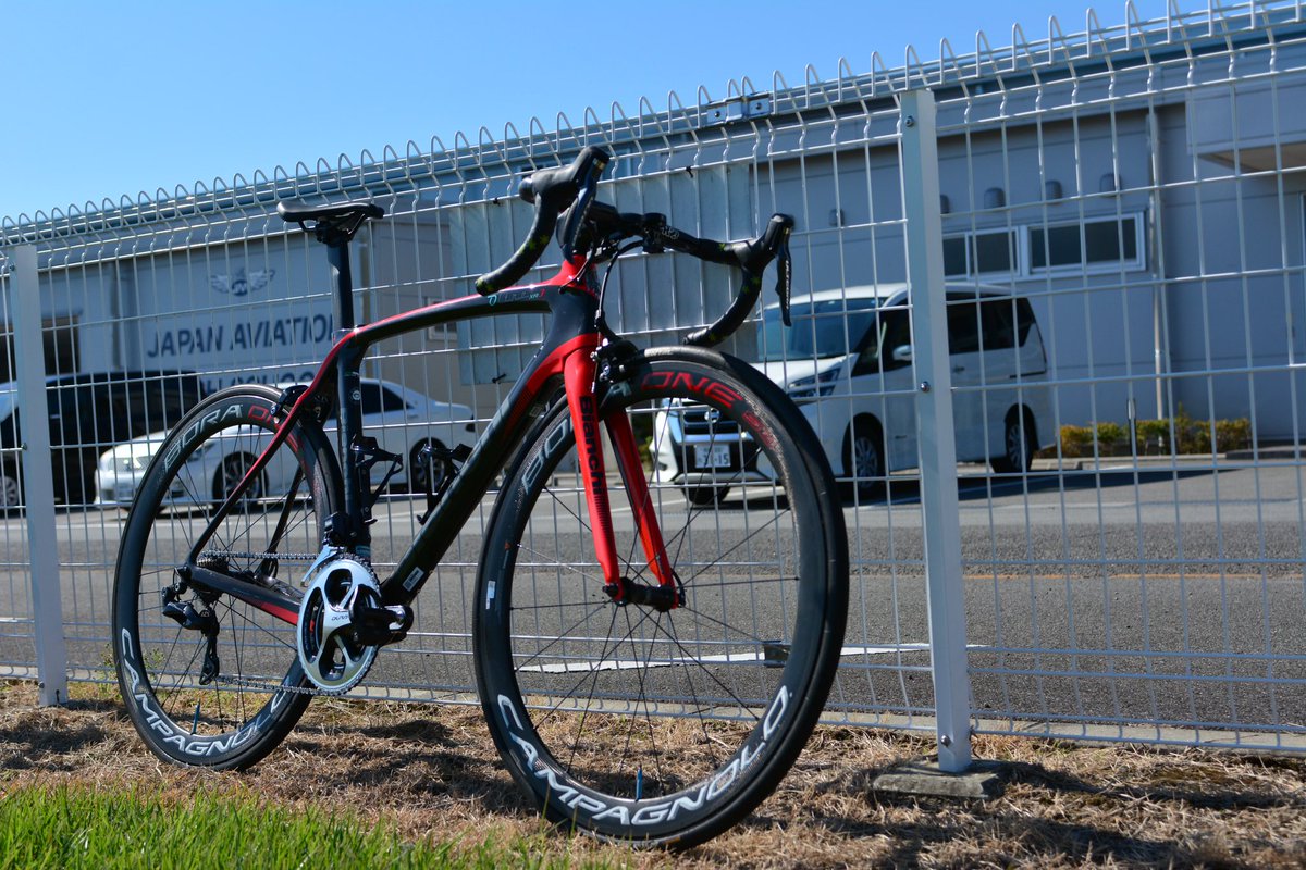 TEAM お魚チンパンジー (@TEAMOSACHIN) / Posts / X