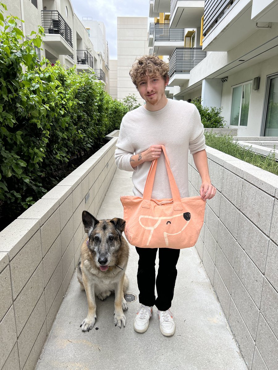 616 Art on Twitter "RT dog_rates Summer Totes are here! Blue