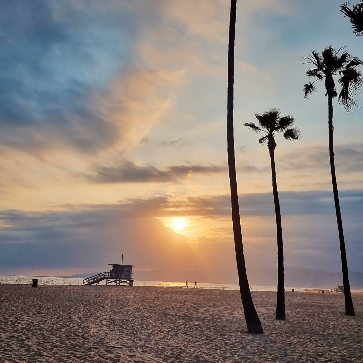 iury souza tweet media