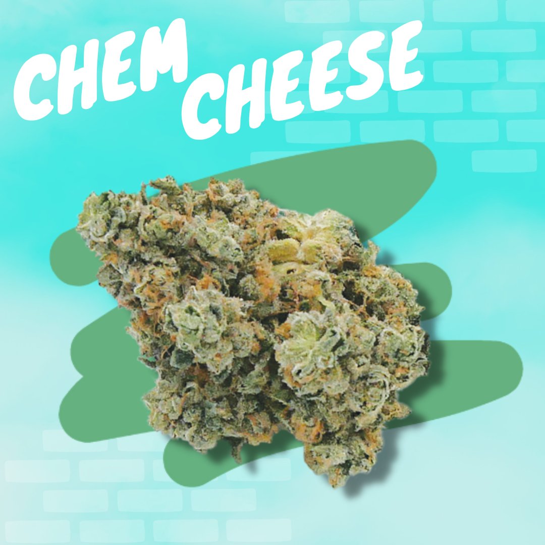 Who's tried Chem Cheese? It has a gassy, cheesy taste that is known for leaving you feeling calm and relaxed. Let us know what you think!