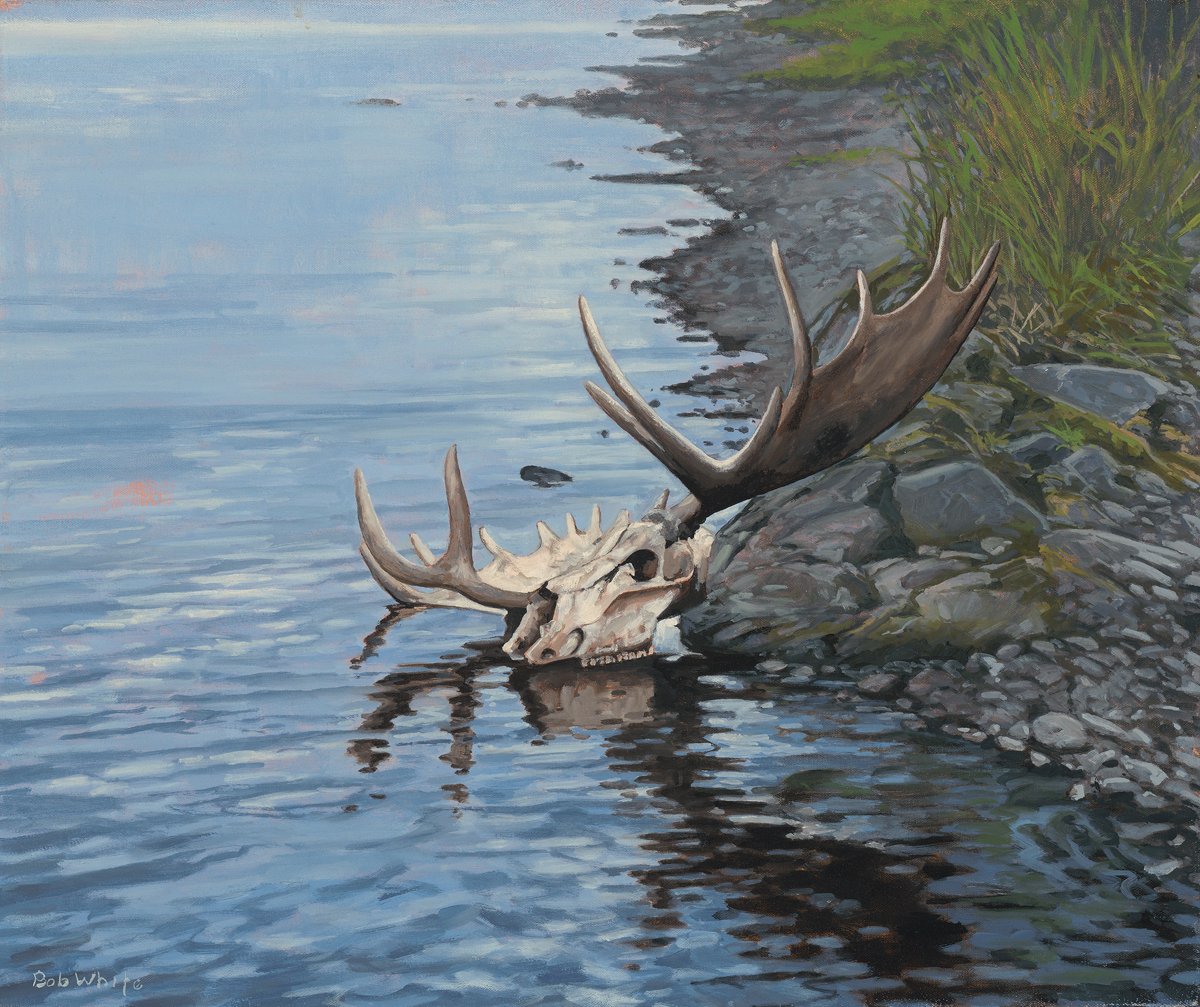 In an attempt to make Twitter and the world a nicer place to hang out, here's my daily post.

I hope this adds something positive to your day! 
          
'Monarch' - 24 x 20' - oil on canvas - ©2015 BobWhiteStudio  

#flyfishing #flyfishingart #sportingart #Alaska #BristolBay