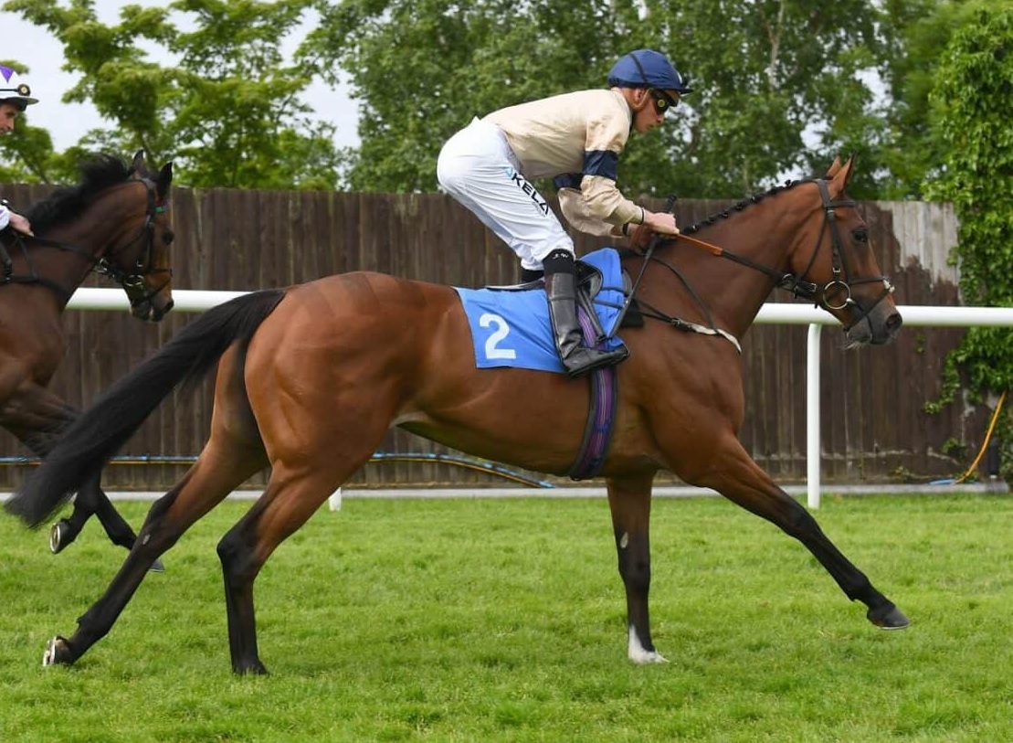 HambletonRacing's tweet photo. It's been a busy day in the office with plenty of entries being made, including one for the lovely Churchella. Here she is heading to the start @LeicesterRaces last time out turned out beautifully by the excellent @omeararacing team! πππ #HambletonTeam #FineFilly #Churchill https://t.co/yctYrtTMYt