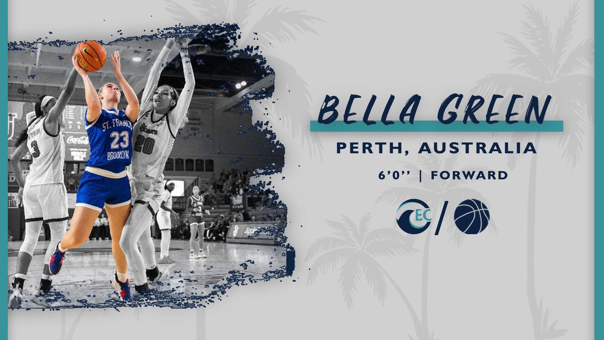 EC_WBB's tweet photo. Welcome to Paradise, Bella☀️🌴 https://t.co/aKd2qOUok4