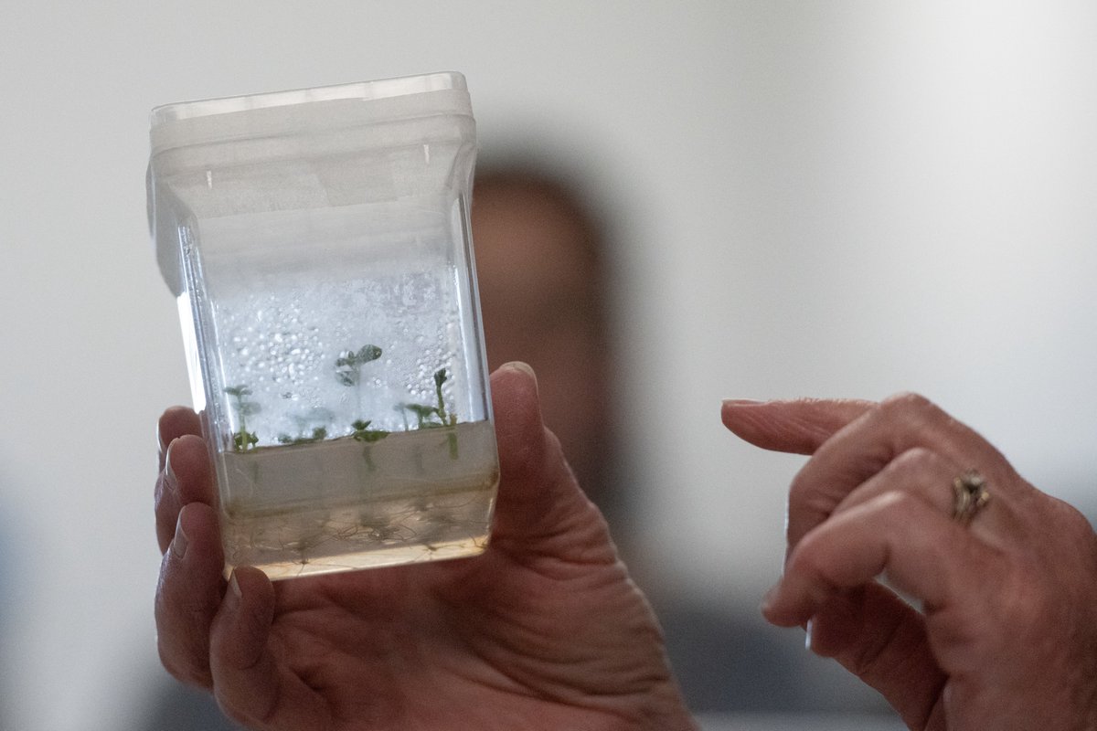CSU_AgBio's tweet photo. Subscribe to our monthly newsletter! Featuring events, news, and published papers: https://t.co/SluhrYYYvE #agbio #agsciences https://t.co/qpN6SYW0ae