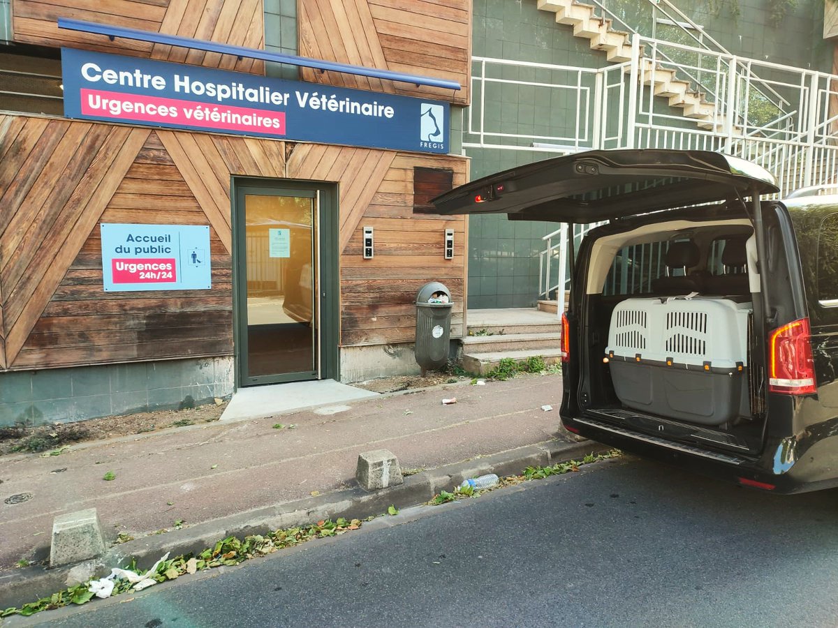 Odyscab's tweet photo. Transfert la semaine dernière d’un Labrador, de l’aéroport Roissy Charles de Gaulle au Centre Hospitalier Vétérinaire FREGIS.
Aux dernières nouvelles, notre ami à quatre pattes serait en convalescence.
Aujourd’hui il reprend l’avion.
Bon rétablissement à lui https://t.co/82u3v5OGYj