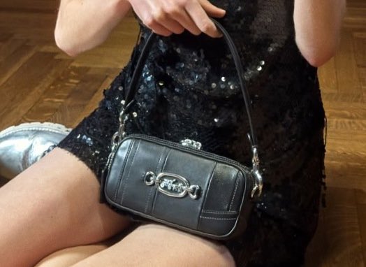 MIUCClAMUSE's tweet photo. babe wake up new coach bags to obsess over just dropped https://t.co/56Cp4PRech