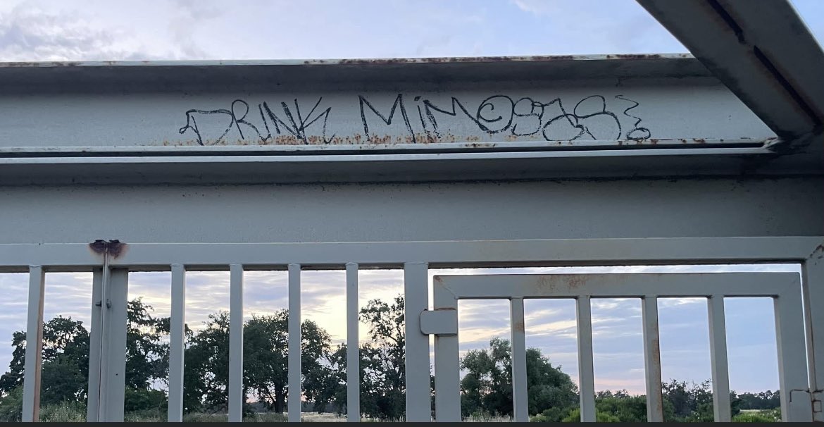RebeccaFriedman's tweet photo. Vote for the most ironic graffiti. 🗳️ Drink mimosas, meditate, or 🤬 stealing. https://t.co/alKdnuMOIV