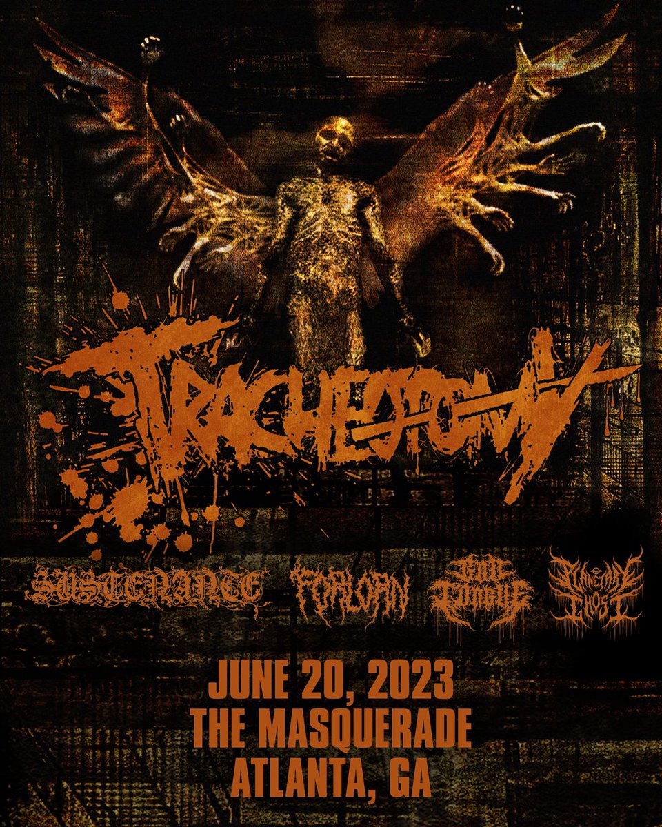 The Masquerade tweet media