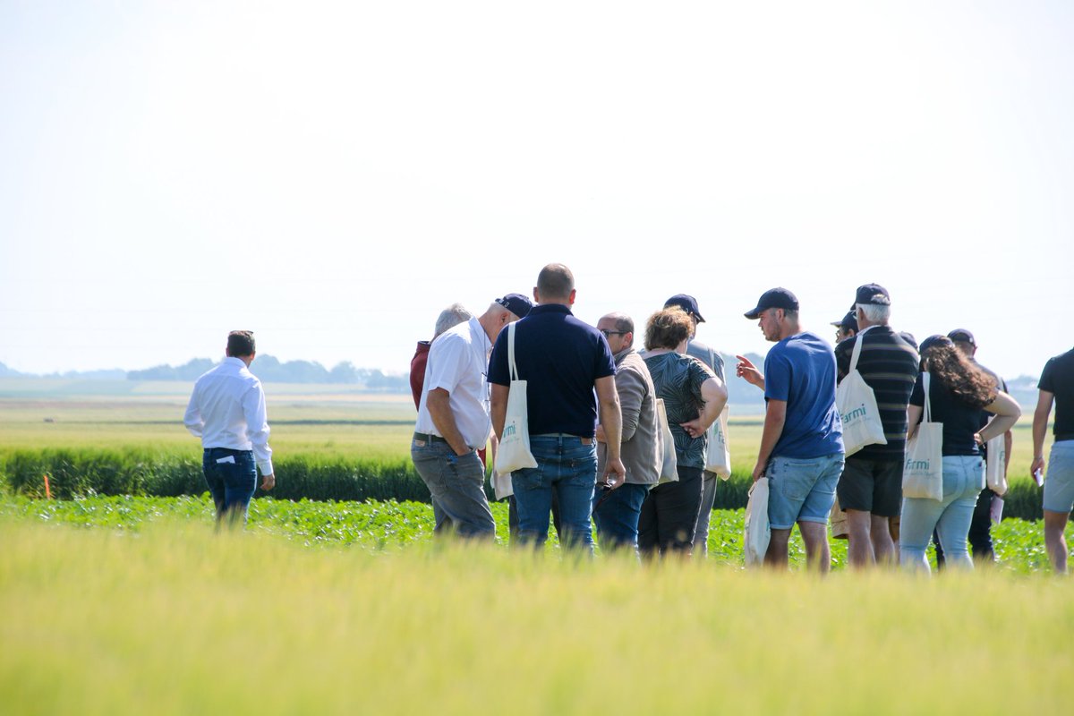 Soufflet_Agri's tweet image. Pas moins de 1️⃣5️⃣0️⃣ clients présents pour notre plate-forme à Pithiviers-le-Vieil.

Au programme:
🌾Visite des #essais: Betteraves, Blés, Orges
📲Application #Farmi
🗺️Offre #BeApi
📰Actualités #SouffletAgriculture 

#agriculture #agriculteurs