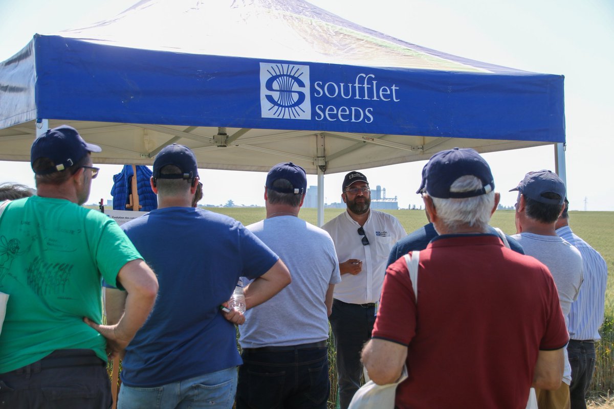 Soufflet_Agri's tweet image. Pas moins de 1️⃣5️⃣0️⃣ clients présents pour notre plate-forme à Pithiviers-le-Vieil.

Au programme:
🌾Visite des #essais: Betteraves, Blés, Orges
📲Application #Farmi
🗺️Offre #BeApi
📰Actualités #SouffletAgriculture 

#agriculture #agriculteurs