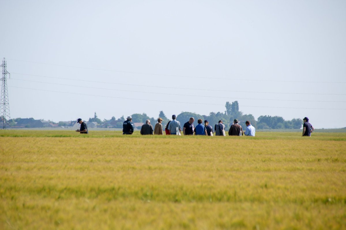 Soufflet_Agri's tweet image. Pas moins de 1️⃣5️⃣0️⃣ clients présents pour notre plate-forme à Pithiviers-le-Vieil.

Au programme:
🌾Visite des #essais: Betteraves, Blés, Orges
📲Application #Farmi
🗺️Offre #BeApi
📰Actualités #SouffletAgriculture 

#agriculture #agriculteurs