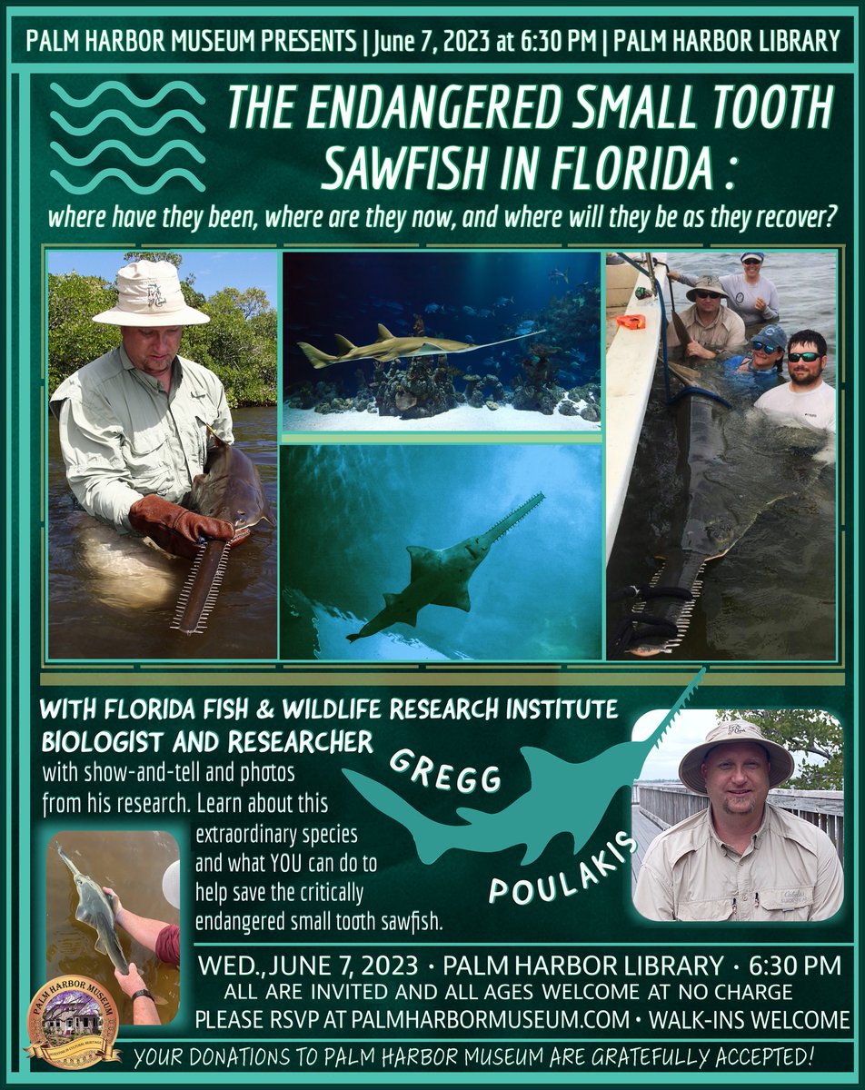 Happening tonight! Check out this special interactive smalltooth #sawfish presentation for FREE <a href="/PalmHarborLib/">Palm Harbor Library</a>. More details at palmharbormuseum.com.