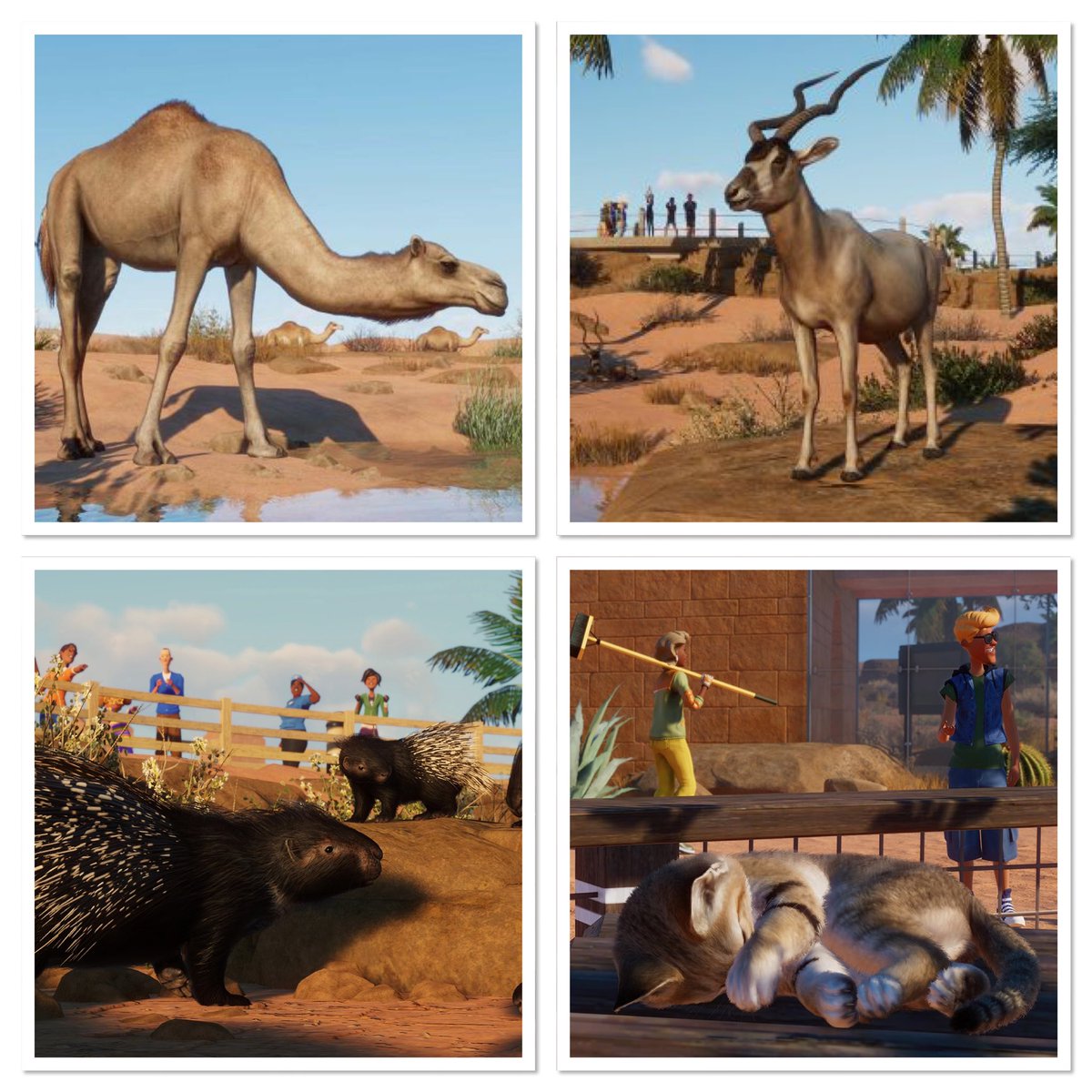 jensagameplayer's tweet photo. Planet Zoo // Arid Animal Pack // Announcement Trailer
.
https://t.co/MQWFYhX1sl
.
#planetzoo #planetzoogame #dierentuin #belgium #dieren #animals #animalgame #fotografie #dlc #drypack #picture #nature #photography #building #desert https://t.co/UvJoEn02Y2