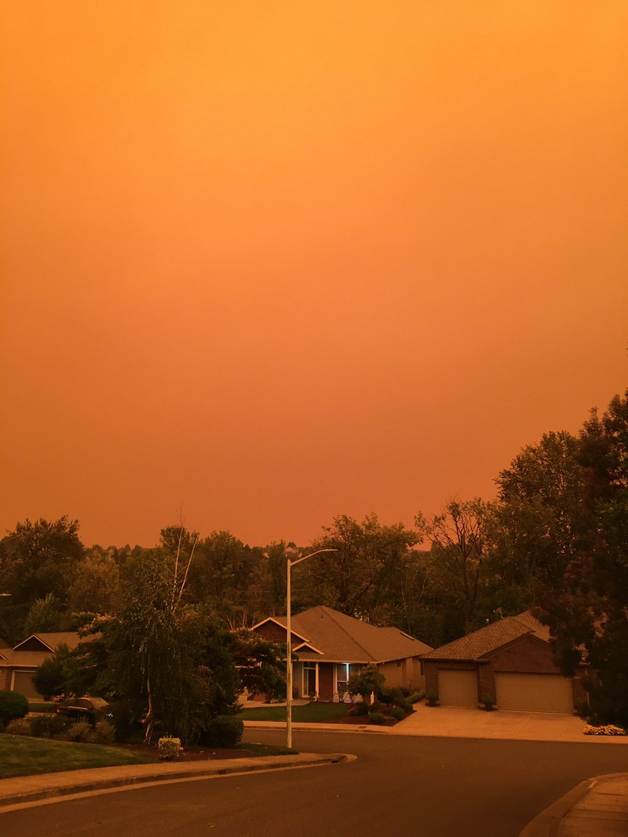 Where were you all when we had a Code Red in the Pacific Northwest in the summer of 2020? It was “snowing” ash that would accumulate on our cars. No filters used in these photos!