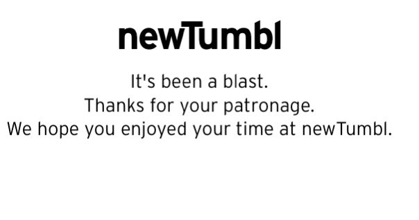 NewTumbl tweet media