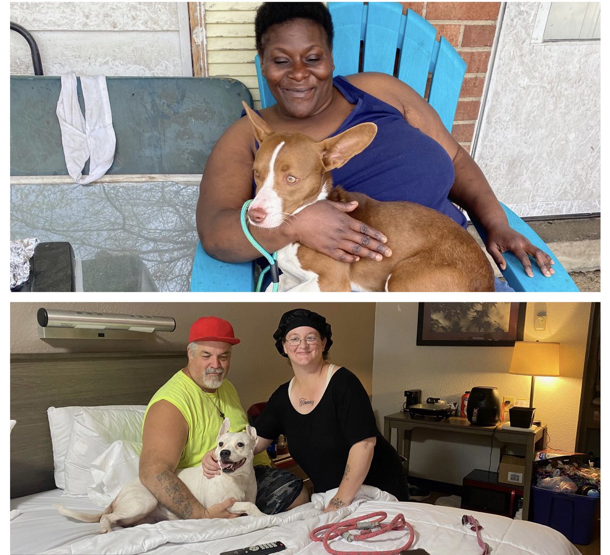 Beyond Fences tweet media