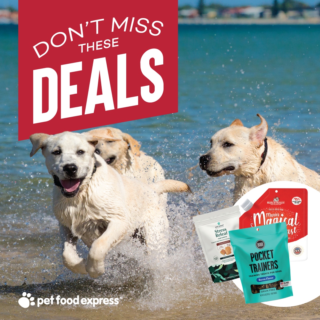 petfoodexpress's tweet photo. Use one code to save on food toppers, pet prevention, toys, and more! Take advantage of multiple deals in the month of June when you shop in-store or online with code JUNEDEALS.
https://t.co/uuSQIqDobt
#petfoodexpress #junedeals https://t.co/TYgo543ypA