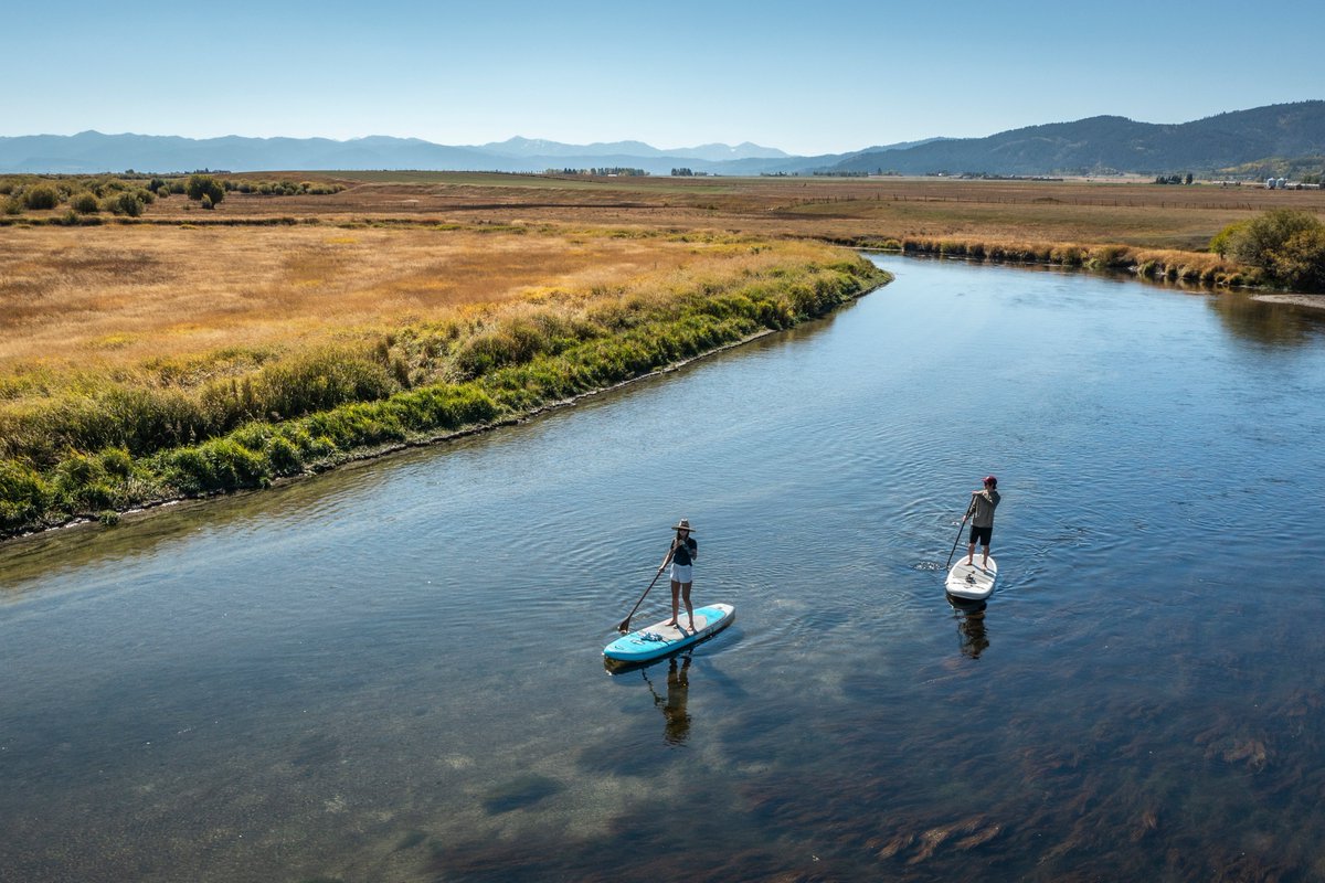 Geartrade tweet media