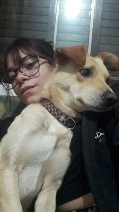 Jajsjsjsjjsjs justo en frente de mi casa tengo una vecina con un perrito que se llama Naruto y ac&aacute; en