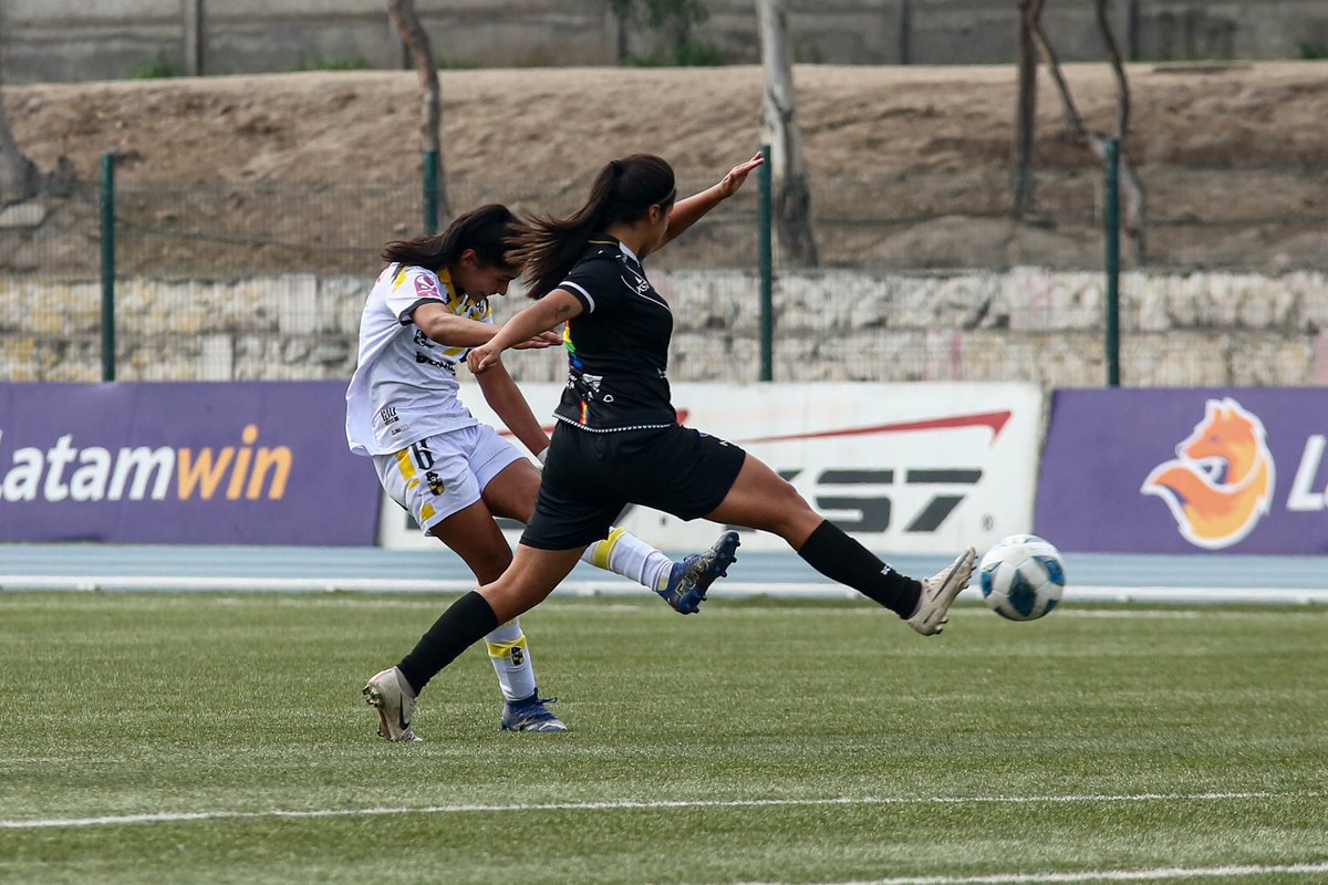 coquimbounido's tweet photo. 🤩 ¡TRIUNFAZO HISTÓRICO FUTFEM EN LA CAPITAL! 💛☠️🖤

Con un golazo al ángulo en el último minuto de juego, nuestras PIRATAS se impusieron como visitantes 1-2 ante su símil bohemio 👏

Los goles de las porteñas fueron obra de Priscila Ellena y María Paz Bogado ⚽️ https://t.co/VotnzznARQ