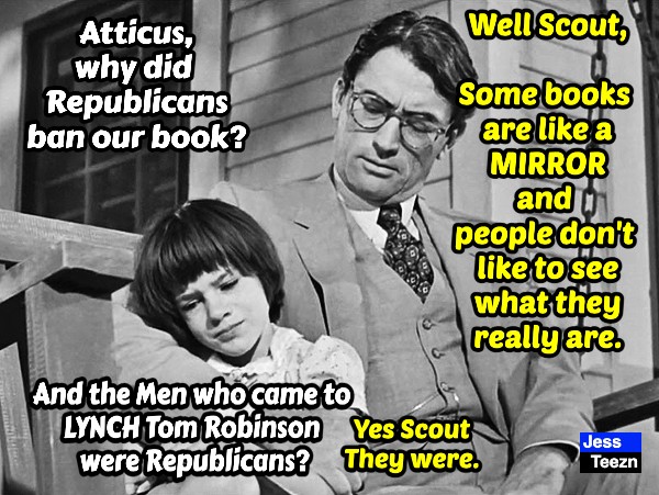 Why did Republicans BAN To Kill a Mockingbird? #VoteBIGblue #BookBans #ToKillAMockingbird