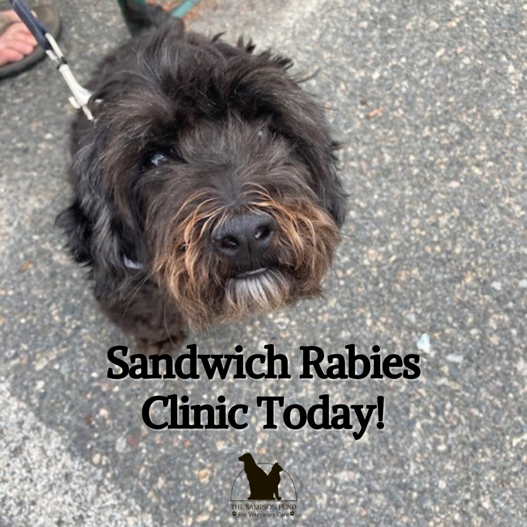 SampsonFund's tweet image. Rabies Clinic today at 3:00 PM!

Sandwich will host a rabies clinic TODAY at the Sandwich Town Hall from 3:00 to 5:00 p.m No registration is necessary to participate in the clinic.

capecod.com/newscenter/tow…

#capecod #sandwichMA #rabiesclinic