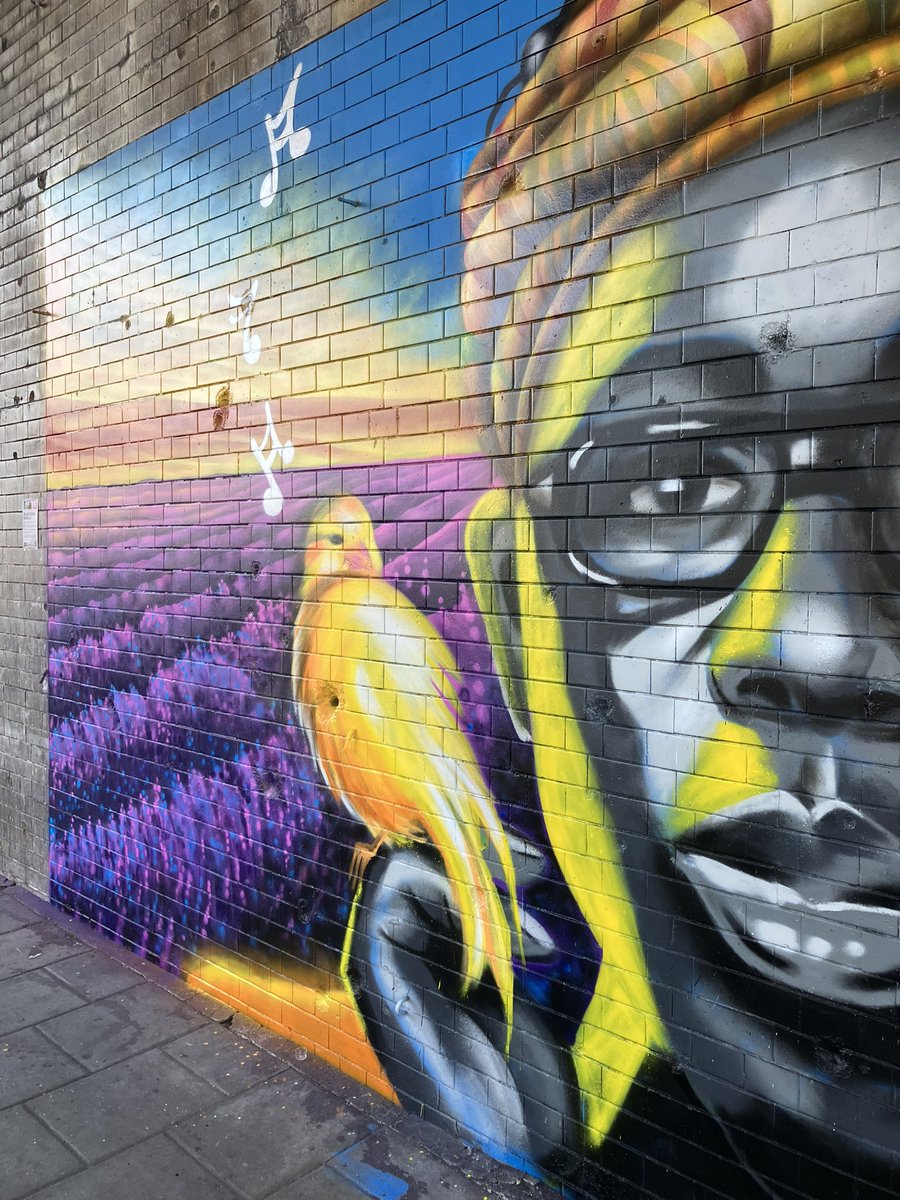 AMAZING!!🥳👏The mural by Jelly (jellyjartist on insta) is now finished &amp; is just beautiful-look at detail in head wrap!It’s under the railway bridge in Brockley &amp; has been part of #BlackIcons project for <a href="/BrockleyMax/">Brockley Max</a> Depicts <a href="/EllaRobertaFdn/">Dr. Rosamund Adoo-KD CBE FBSA</a> #LocalInspirationalWomen #StreetArt 🎨