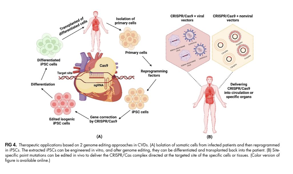 🧬Genome Editing Technology: A New Frontier for the Treatment & Prevention of CV Diseases #CardioEd #cardiology #CardioTwitter #Cardiogen