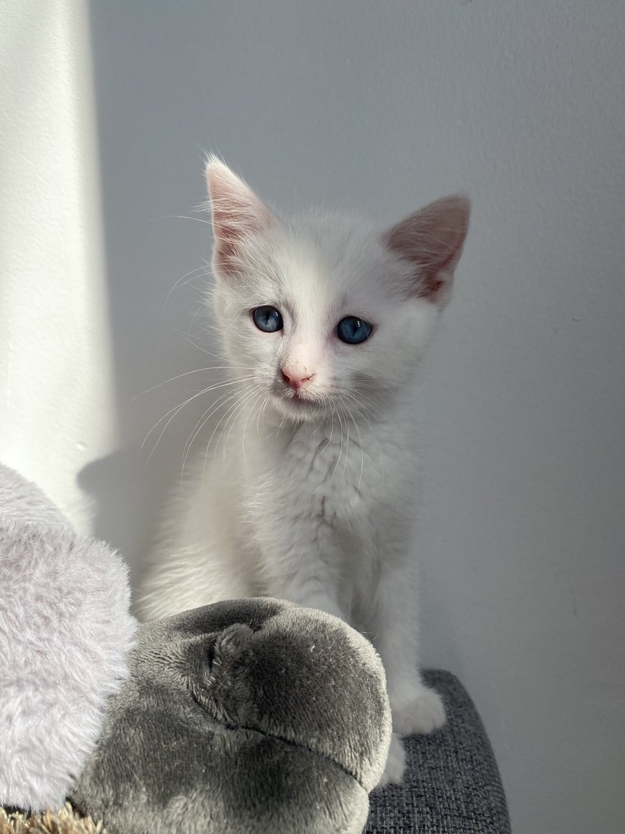 Jvais vous spam de photos toute ma vie