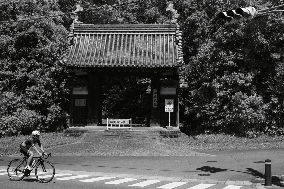 almightygenera1's tweet image. 