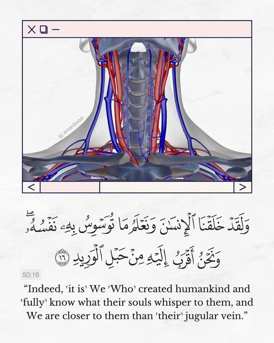 #الوليد_بن_طلال_يشتري_الهلال