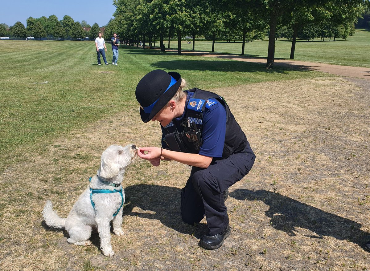 Today officers from the local Safer Neighbourhood Team have been out on their foot patrols in the local Reigate area. On their travels PCSO 16569 got to meet Buddy who was enjoying the lovely weather in Priory Park. #REIGATE #SNT #COMMUNITYENGAGEMENT