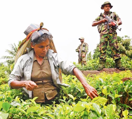 නූරි වතුයායේ බිහිසුණු කතාව මම ගෙදර අයට කිව්වේ නූරි ගිහින් ගෙදර ආවට පස්සේ. 

ලංකාවේ ඒ වගේ බිහිසුණු පාතාලයක් නූරිය රජ කෙරුවා කියලා දැනගෙන හිටියා නම් ගෙදර අය කොහොමටවත් අද මා එක්ක නූරි යන්න එන්නේ නෑ

ඡායාරූපය - දිනමිණ 2013