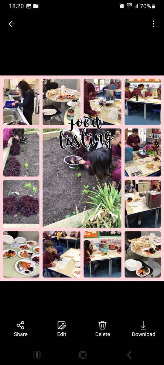 Field to fork! Lettuce grown in our school patch by our children; picked, washed &amp; tasted for our D&amp;T project making healthy sandwiches #farmingmatters <a href="/BASF/">BASF</a> <a href="/LEAFEd_WM/">LEAFEd_WM</a>