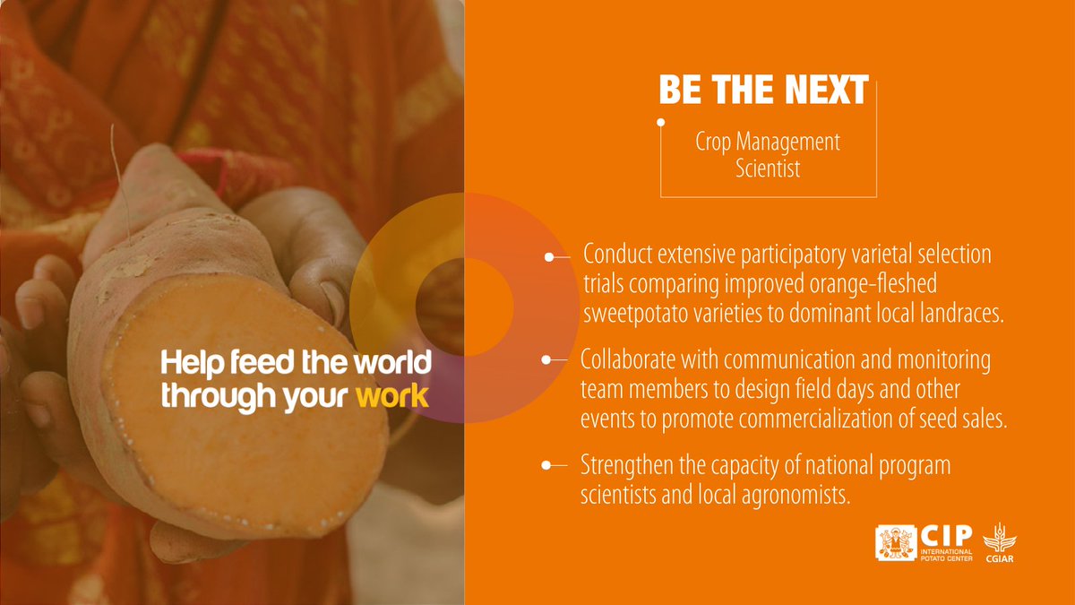 International Potato Center (@cipotato) on Twitter photo Are you passionate about improving agricultural 🌱 practices?
<a href="/Cipotato/">International Potato Center</a> is seeking a Crop Management Scientist to conduct varietal selection trials for sweetpotato 🍠 in Southern Madagascar.
📆 Closing date: June 12
Apply now:
👉🏽 bit.ly/Job-CropManage… Are you passionate about improving agricultural 🌱 practices?
<a href="/Cipotato/">International Potato Center</a> is seeking a Crop Management Scientist to conduct varietal selection trials for sweetpotato 🍠 in Southern Madagascar.
📆 Closing date: June 12
Apply now:
👉🏽 bit.ly/Job-CropManage…