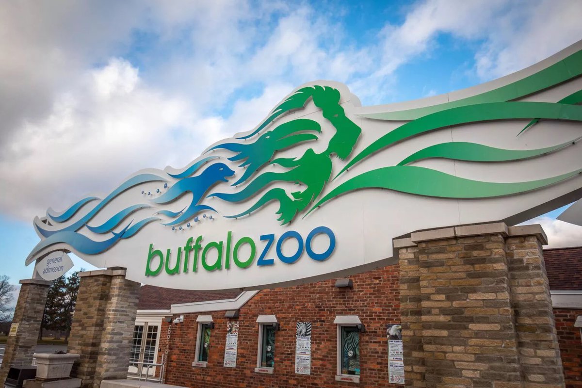 Buffalo Zoo tweet media