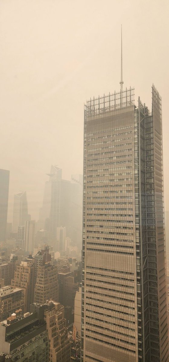 Carolyn Blackburne tweet media