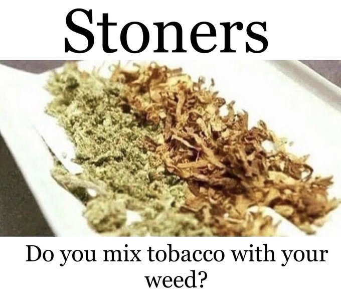 BudVizion's tweet photo. Do you mix tobacco or CBD flower with your weed?  Yes or No #marijuana #weedmob #Stonerfam #Weedlovers #Weedsmokers #WeedLife #MMJ #wednesdayvibe #wednesdaymotivations https://t.co/lbu23CKTY3