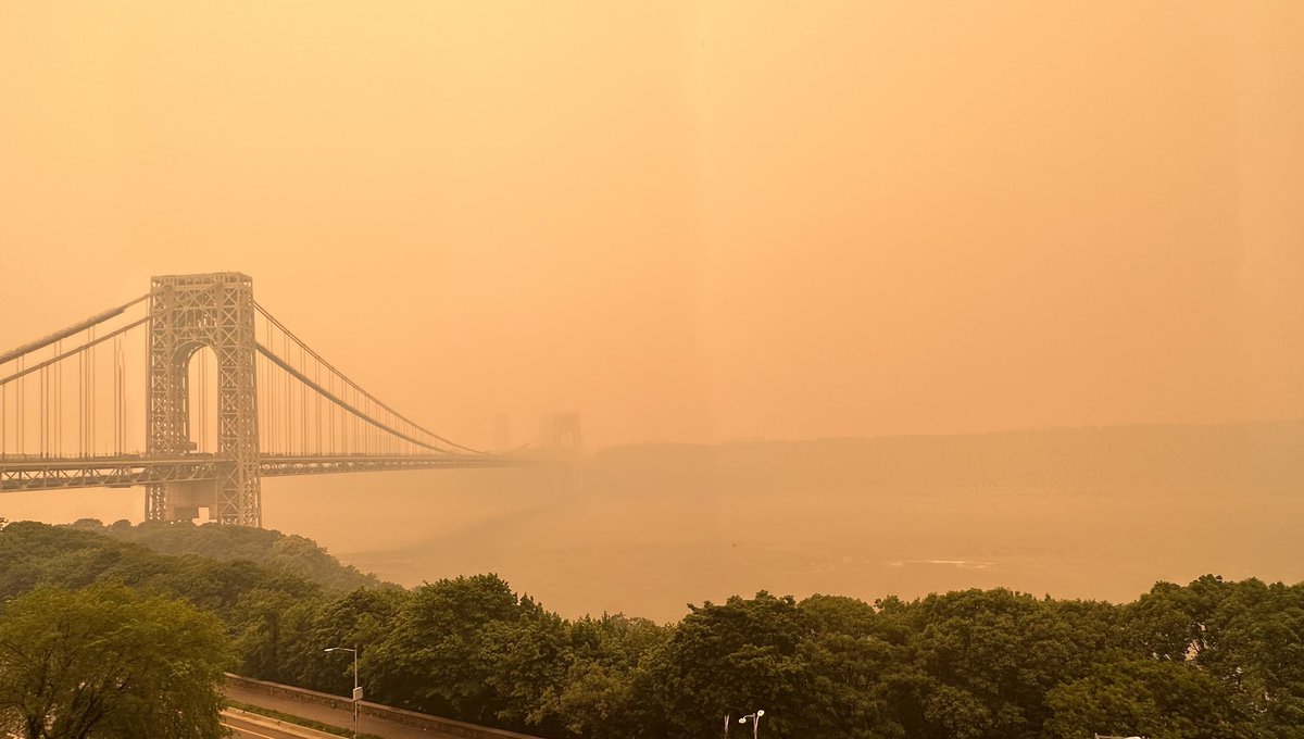 Deni Bonet tweet media