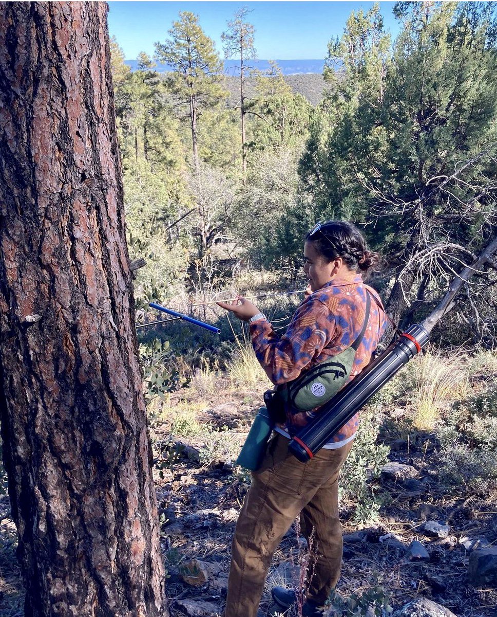 Throwback to #FieldSeason2021 in Prescott National Forest🌲
Anxiously awaiting the arrival of #FieldSeason2023 in TWO WEEKS! 

#YosemiteHereWeCome
#Dendrochronology
#ForestEcology
#treerings