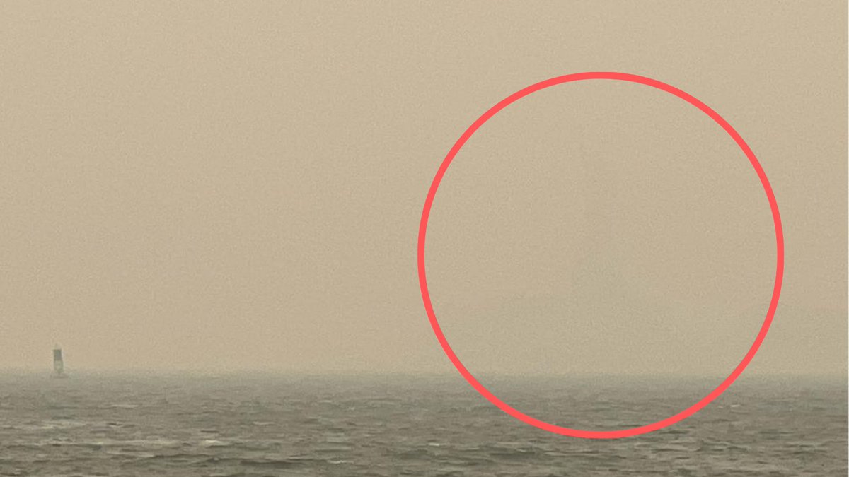 TheWCS's tweet image. This is usually a magnificent view of the Statue of Liberty from Red Hook, Brooklyn. #AirQualityAlert #ClimateEmergency #NYCSkyline
