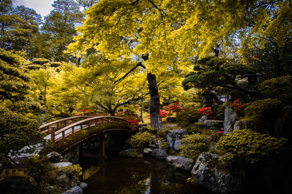 Peter Kerulo tweet media