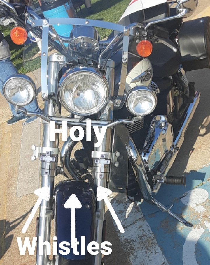 WhistleHoly's tweet photo. #wildlifeprotection #wildlife #animal #animals #animallovers #vehicles #vehicle #motorcycles #roads #Motorcycle #motorcyclerally #motorcyclelife #motorcyclegroup #motorcycleclub #motorcyclesafety #wildlife #animals website:https://t.co/0qDr458BWV https://t.co/iLMXwkXxuq