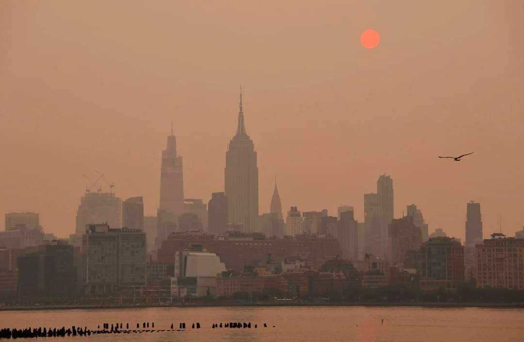 Euan Rellie tweet media