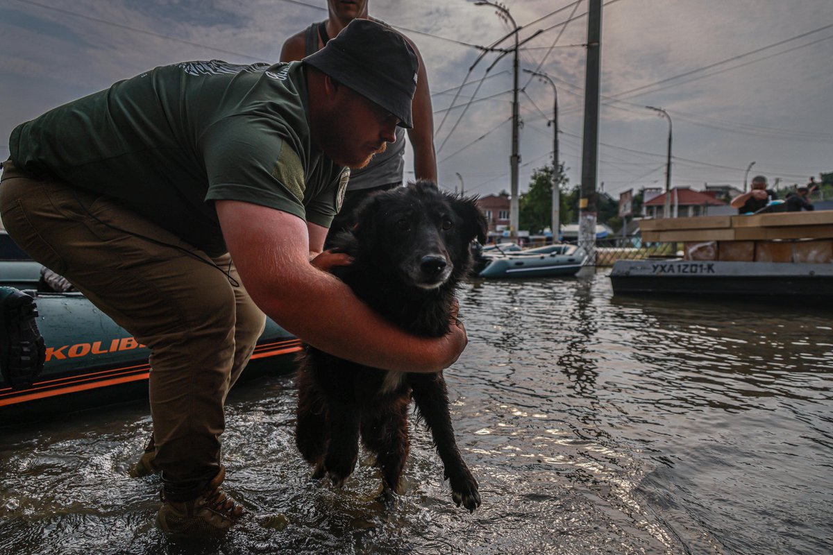 Marian Kushnir tweet media